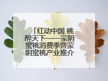 红动中国 桃醉天下——蒙阴蜜桃消费季暨蒙阴蜜桃产业推介会成功举办