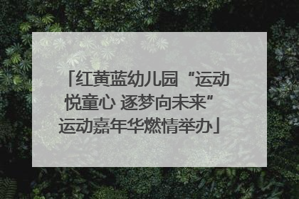 红黄蓝幼儿园“运动悦童心 逐梦向未来”运动嘉年华燃情举办