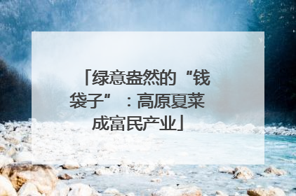 绿意盎然的“钱袋子”：高原夏菜成富民产业