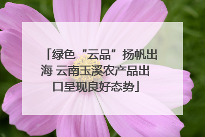 绿色“云品”扬帆出海 云南玉溪农产品出口呈现良好态势