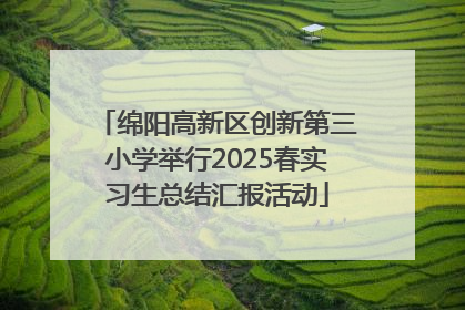 绵阳高新区创新第三小学举行2025春实习生总结汇报活动