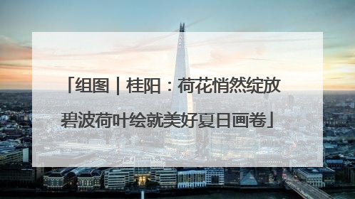 组图｜桂阳：荷花悄然绽放 碧波荷叶绘就美好夏日画卷