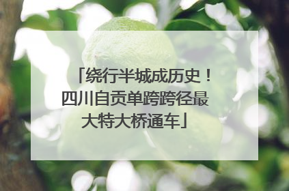 绕行半城成历史！四川自贡单跨跨径最大特大桥通车