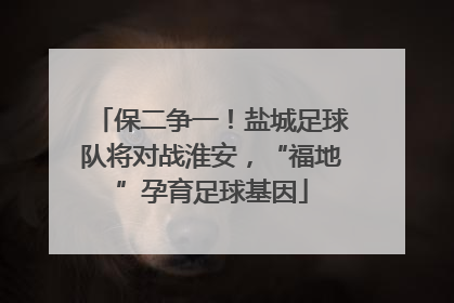保二争一！盐城足球队将对战淮安，“福地”孕育足球基因