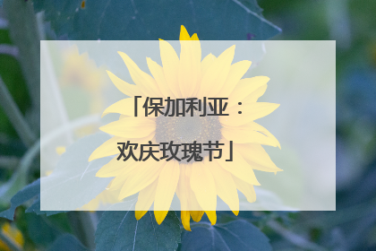 保加利亚：欢庆玫瑰节