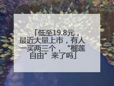 低至19.8元，最近大量上市，有人一买两三个，“榴莲自由”来了吗