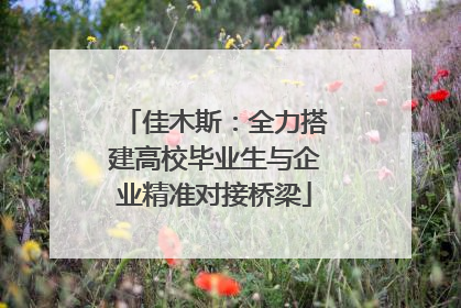 佳木斯：全力搭建高校毕业生与企业精准对接桥梁