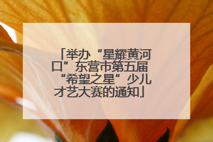 举办“星耀黄河口”东营市第五届“希望之星”少儿才艺大赛的通知