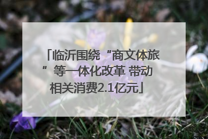 临沂围绕“商文体旅”等一体化改革 带动相关消费2.1亿元
