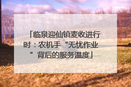 临泉迎仙镇麦收进行时：农机手“无忧作业”背后的服务温度