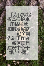 为民撑起权益保护伞 用情铺就和谐发展路——记全国先进工作者、新区项目建设中心干部卢小勇