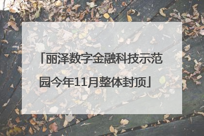 丽泽数字金融科技示范园今年11月整体封顶