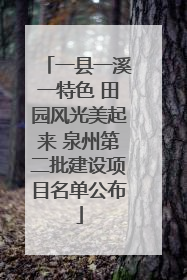 一县一溪一特色 田园风光美起来 泉州第二批建设项目名单公布