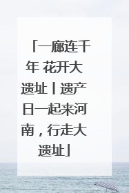 一廊连千年 花开大遗址丨遗产日一起来河南，行走大遗址