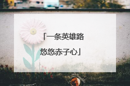 一条英雄路 悠悠赤子心