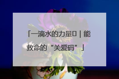 一滴水的力量㉖｜能救命的“关爱码”