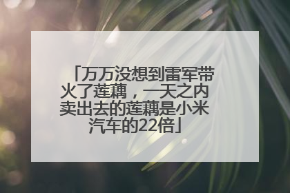万万没想到雷军带火了莲藕，一天之内卖出去的莲藕是小米汽车的22倍