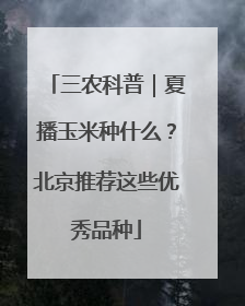 三农科普｜夏播玉米种什么？北京推荐这些优秀品种