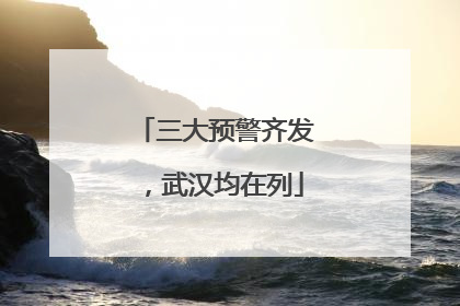 三大预警齐发，武汉均在列