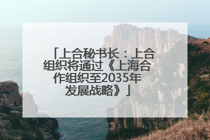 上合秘书长：上合组织将通过《上海合作组织至2035年发展战略》