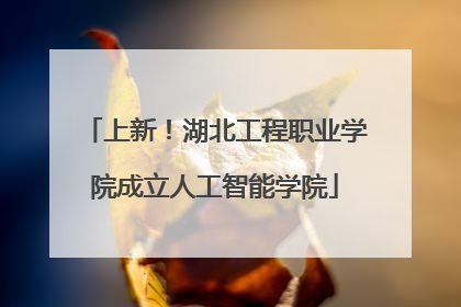 上新！湖北工程职业学院成立人工智能学院