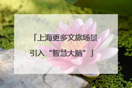 上海更多文旅场景引入“智慧大脑”