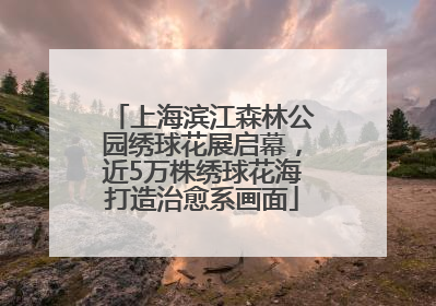 上海滨江森林公园绣球花展启幕，近5万株绣球花海打造治愈系画面