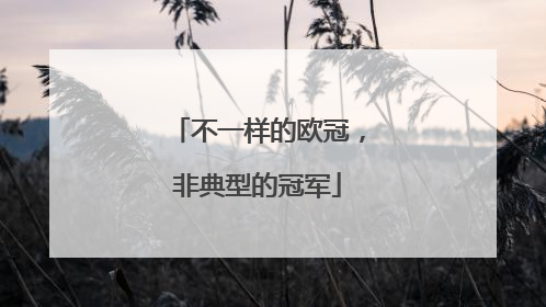 不一样的欧冠，非典型的冠军