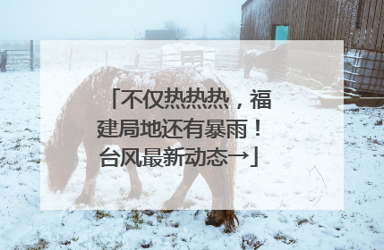 不仅热热热，福建局地还有暴雨！台风最新动态→
