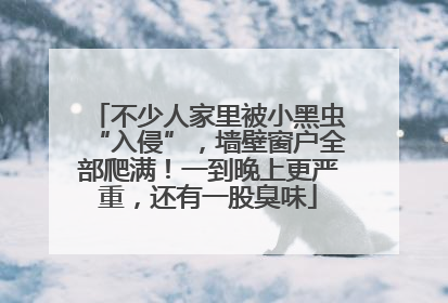 不少人家里被小黑虫“入侵”，墙壁窗户全部爬满！一到晚上更严重，还有一股臭味