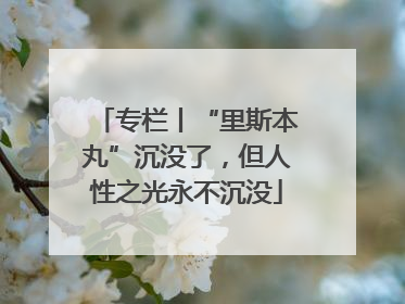 专栏丨“里斯本丸”沉没了，但人性之光永不沉没