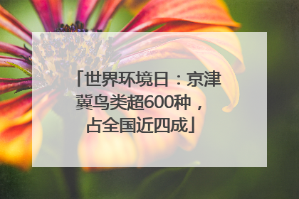 世界环境日：京津冀鸟类超600种，占全国近四成