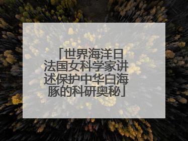 世界海洋日 法国女科学家讲述保护中华白海豚的科研奥秘