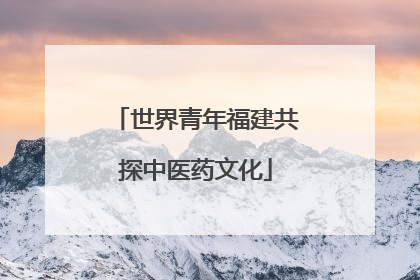 世界青年福建共探中医药文化