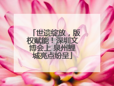 世遗绽放，版权赋能！深圳文博会上 泉州鲤城亮点纷呈