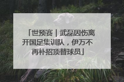 世预赛｜武磊因伤离开国足集训队，伊万不再补招顶替球员