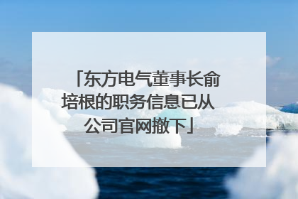 东方电气董事长俞培根的职务信息已从公司官网撤下