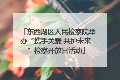 东西湖区人民检察院举办“携手关爱 共护未来”检察开放日活动