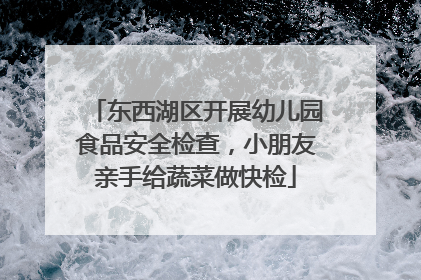 东西湖区开展幼儿园食品安全检查，小朋友亲手给蔬菜做快检