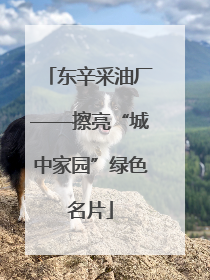 东辛采油厂——擦亮“城中家园”绿色名片