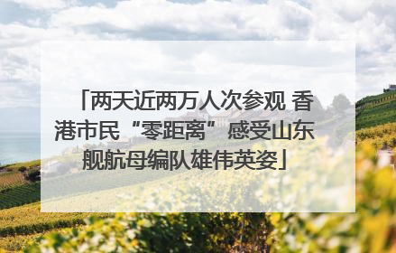 两天近两万人次参观 香港市民“零距离”感受山东舰航母编队雄伟英姿