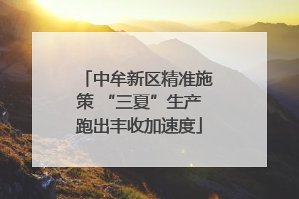 中牟新区精准施策 “三夏”生产跑出丰收加速度
