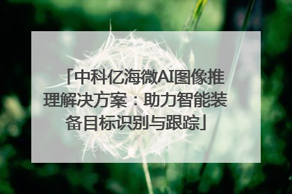 中科亿海微AI图像推理解决方案：助力智能装备目标识别与跟踪