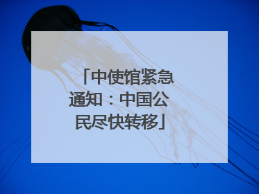 中使馆紧急通知：中国公民尽快转移