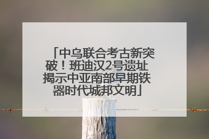 中乌联合考古新突破！班迪汉2号遗址揭示中亚南部早期铁器时代城邦文明