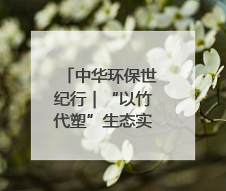 中华环保世纪行｜“以竹代塑”生态实践在宜宾