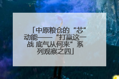 中原粮仓的“芯”动能——“打赢这一战 底气从何来”系列观察之四