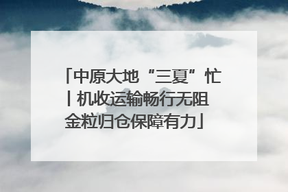 中原大地“三夏”忙丨机收运输畅行无阻 金粒归仓保障有力