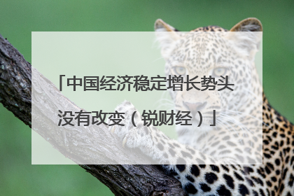 中国经济稳定增长势头没有改变（锐财经）