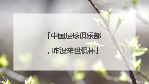 中国足球俱乐部，咋没来世俱杯